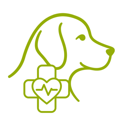Hundekrankenversicherung