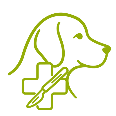 Hunde OP-Versicherung