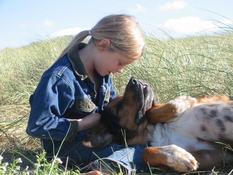 Gastbeitrag Hundekrankenversicherung ja oder nein